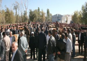 Kurban pazarları hareketlendi